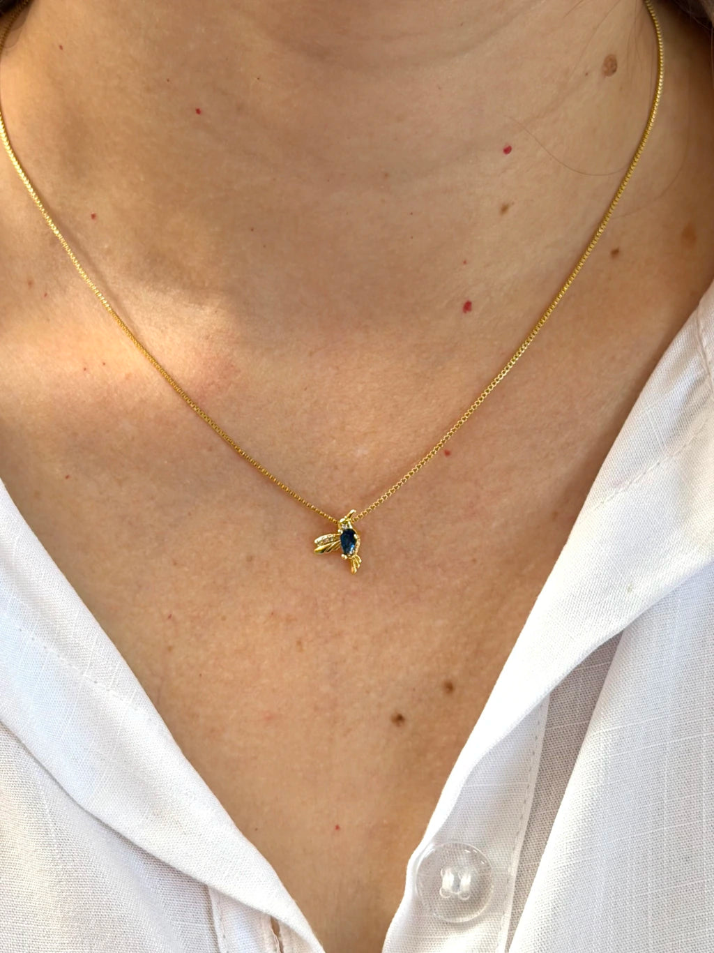 Conjunto pássaro azul