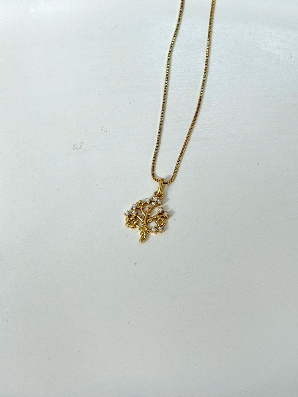 Conjunto Árvore da Vida