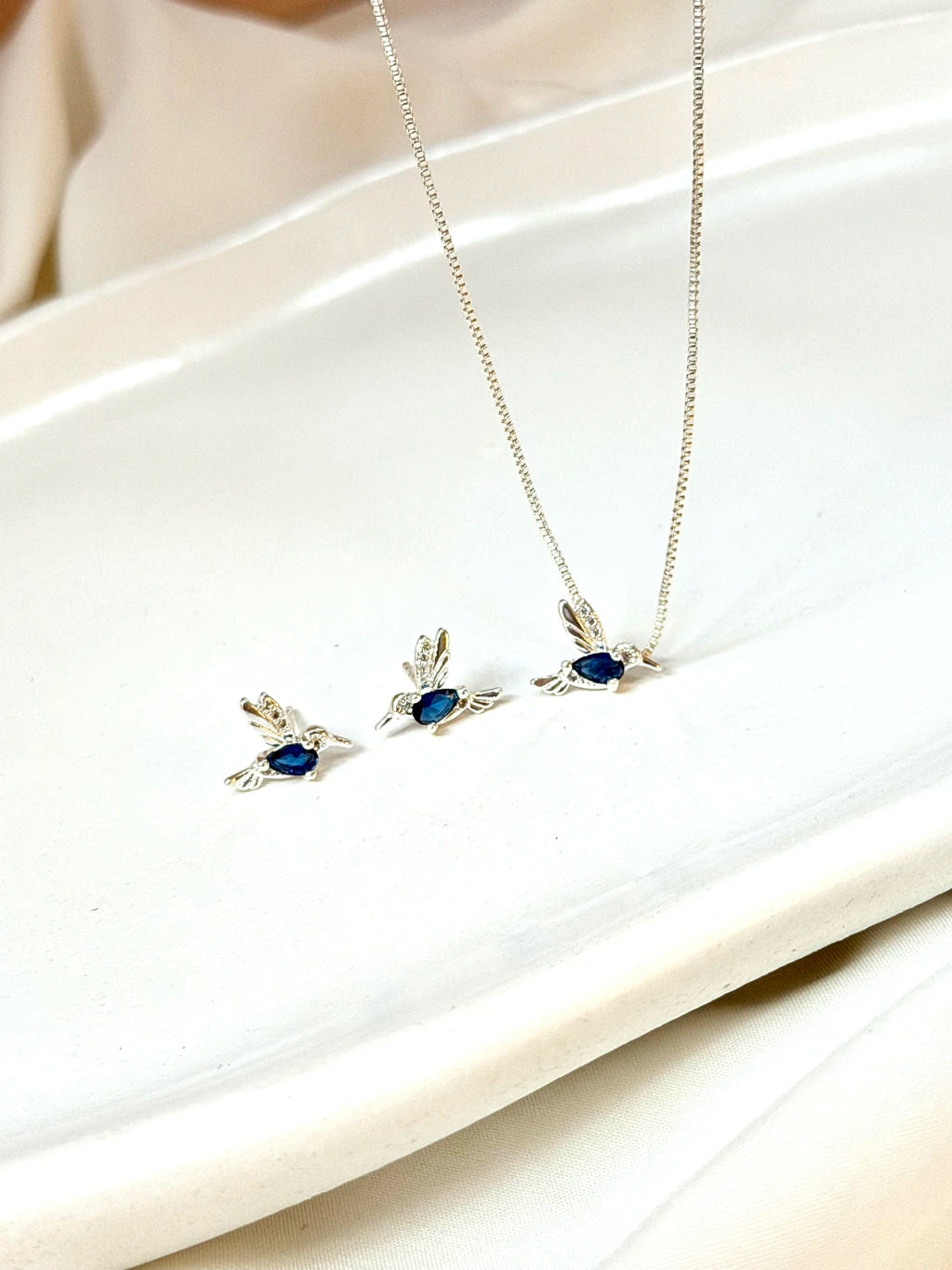 Conjunto pássaro azul