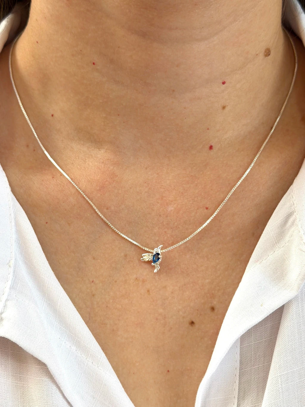 Conjunto pássaro azul