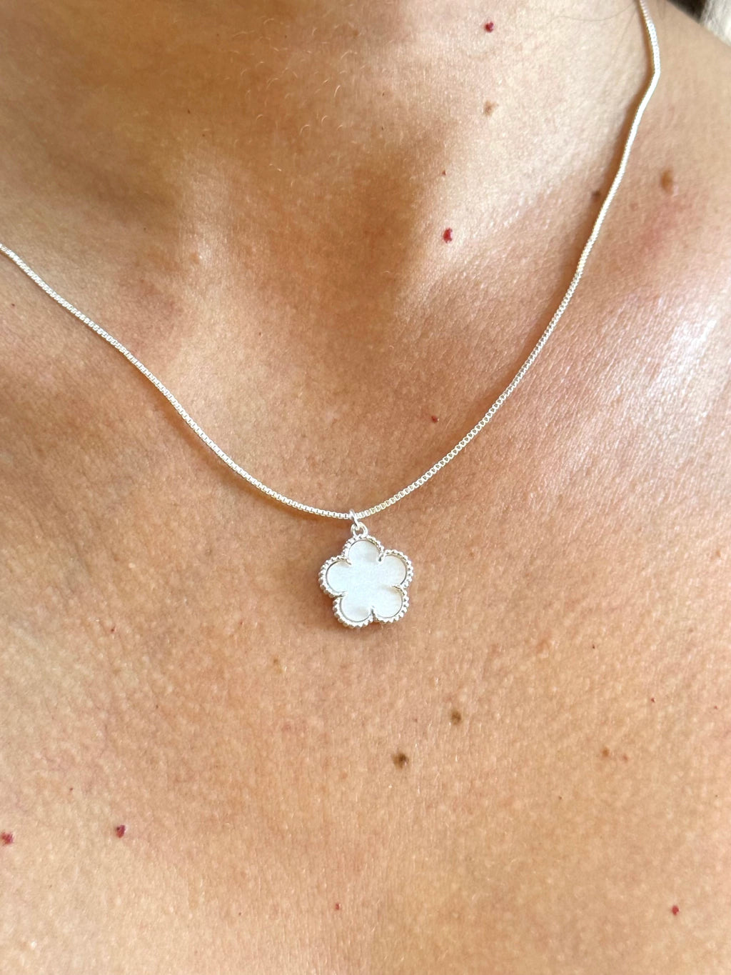 Conjunto flor pétala branca
