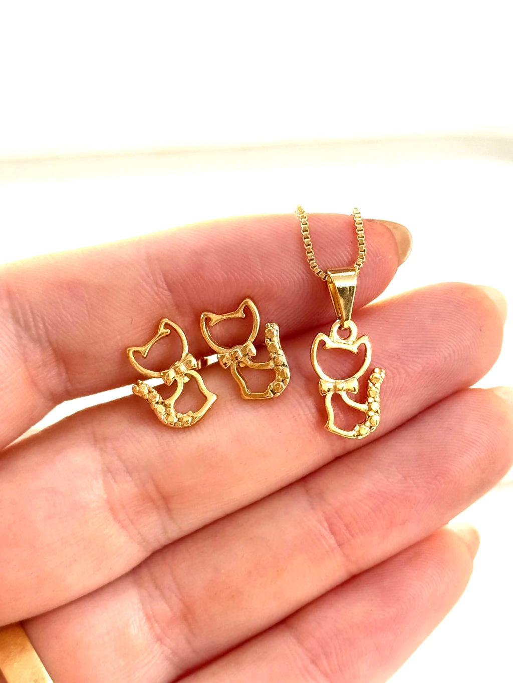 Conjunto gato